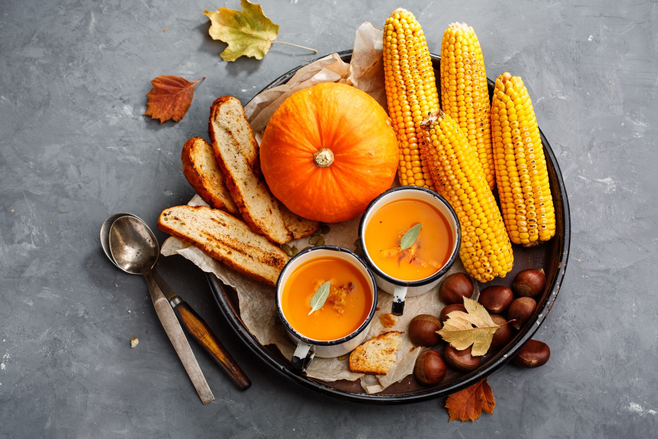 autumn-harvest-pumpkin-soup-with-corn-and-bread-2026-09-21-11-39-24-utc – Βρεφονηπιακός Σταθμός - Νηπιαγωγείο - Δημοτικό - Γυμνάσιο - Λύκειο ...η ολοκληρωμένη εκπαιδευτική πρόταση – Γανόχωρα, Κατερίνη Πιερίας – Εκπαιδευτήρια ΠΛΑΤΩΝ